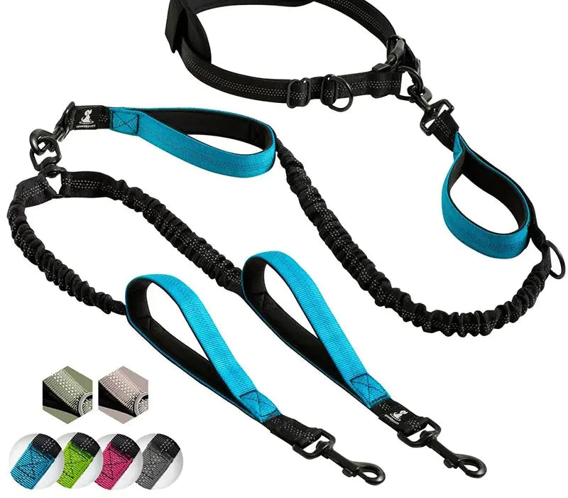 Reflective Hands-Free Double Dog Leash