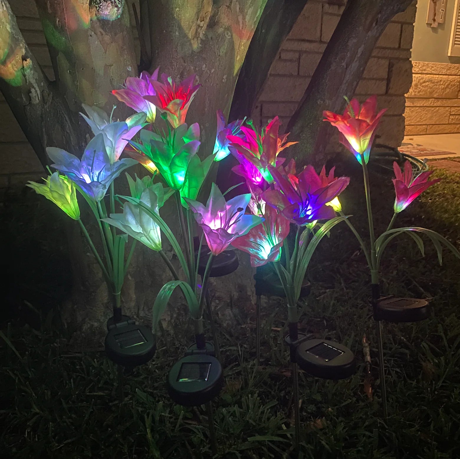 Environmentally Conscious Garden Light