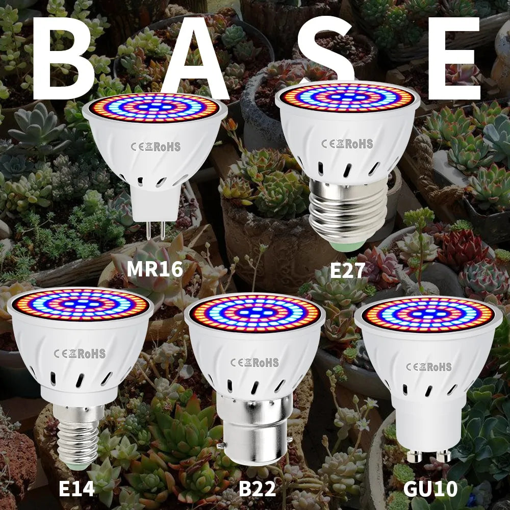 Phyto B22 Hydroponic Plant Growth Light