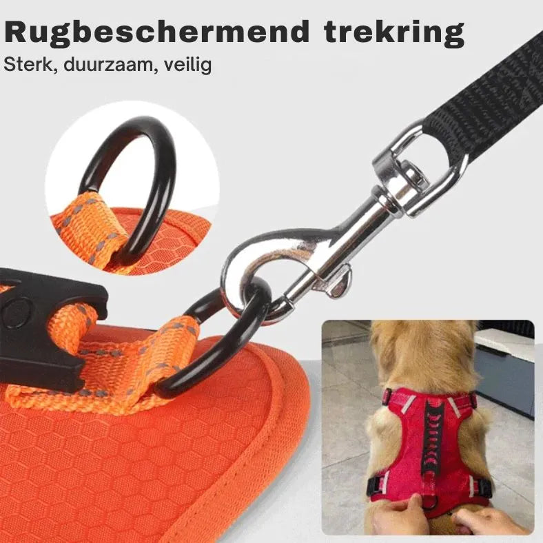 Dog's Reflective Stress- Relieving Harness