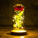 Red rose displayed under a clear glass dome on a wooden base, wrapped with warm white fairy lights and glowing on a rustic wooden surface against a dark background.
