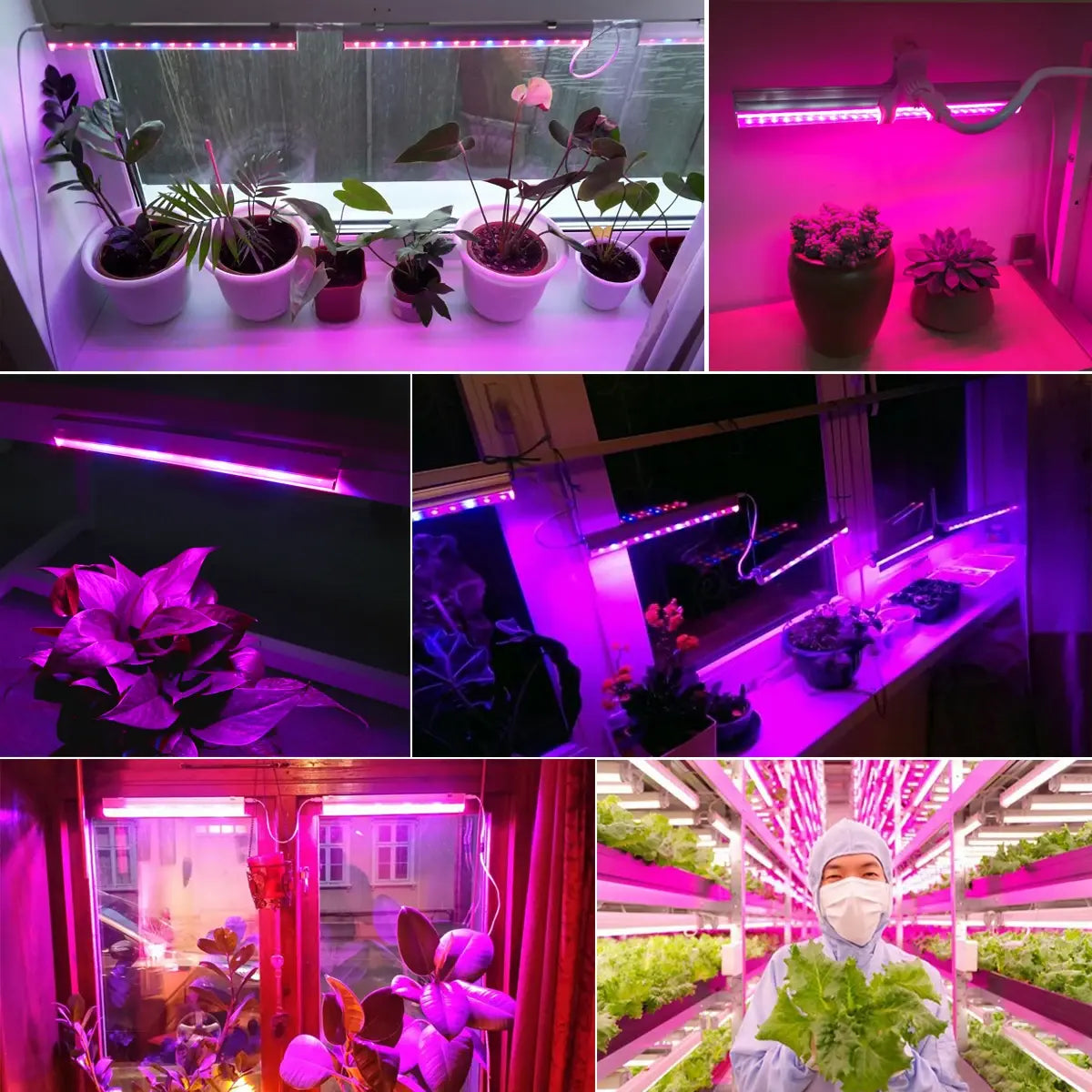  Phyto Lamp LED Plant Grow Light