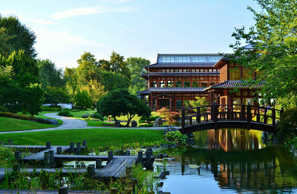 Large garden space showing garden items