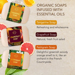 Soothe and Hydrate Assorted Soap