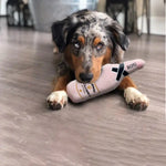 Whiskey Barrel Dog Toy