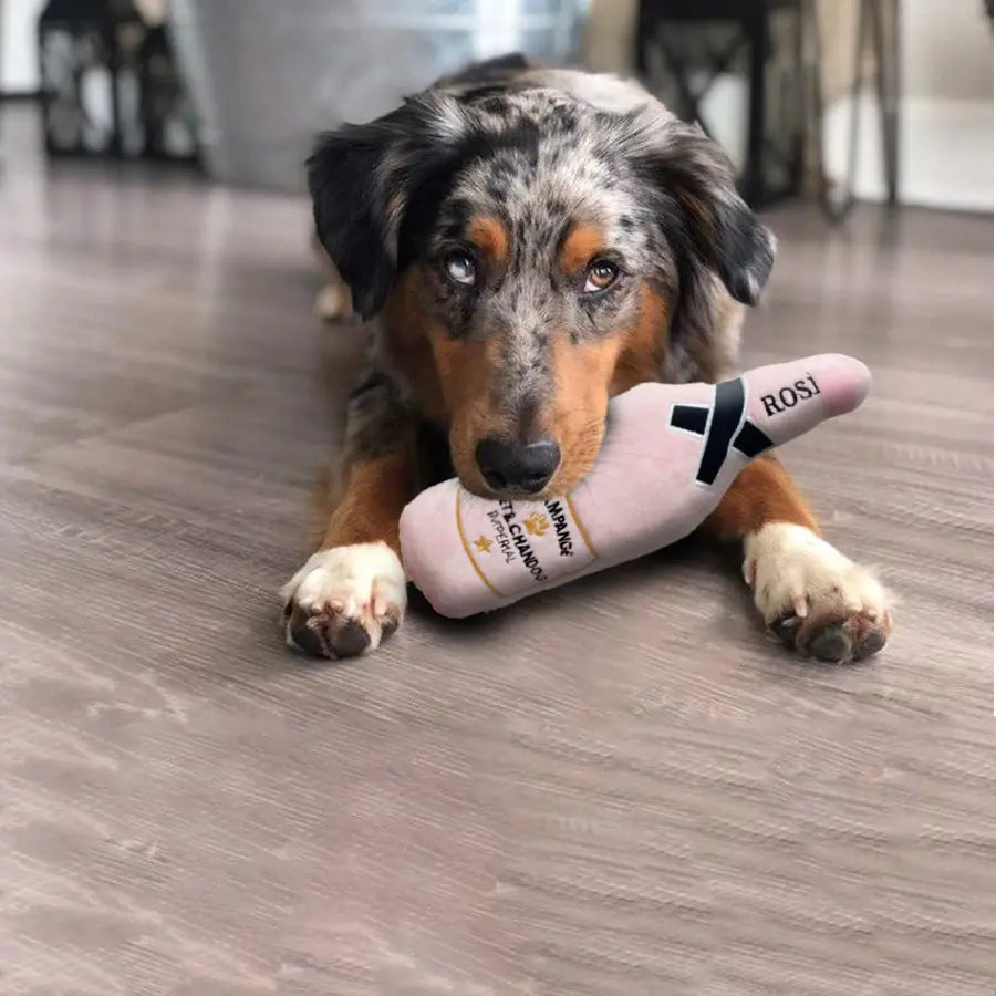 Whiskey Barrel Dog Toy