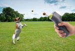 Interactive pet toy