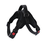 Soft Adjustable Walking Harness for Pets