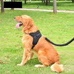Pet Comfort Adjustable Walking Harness