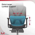 Chair with blue lumbar support cushion and measurements on a white background