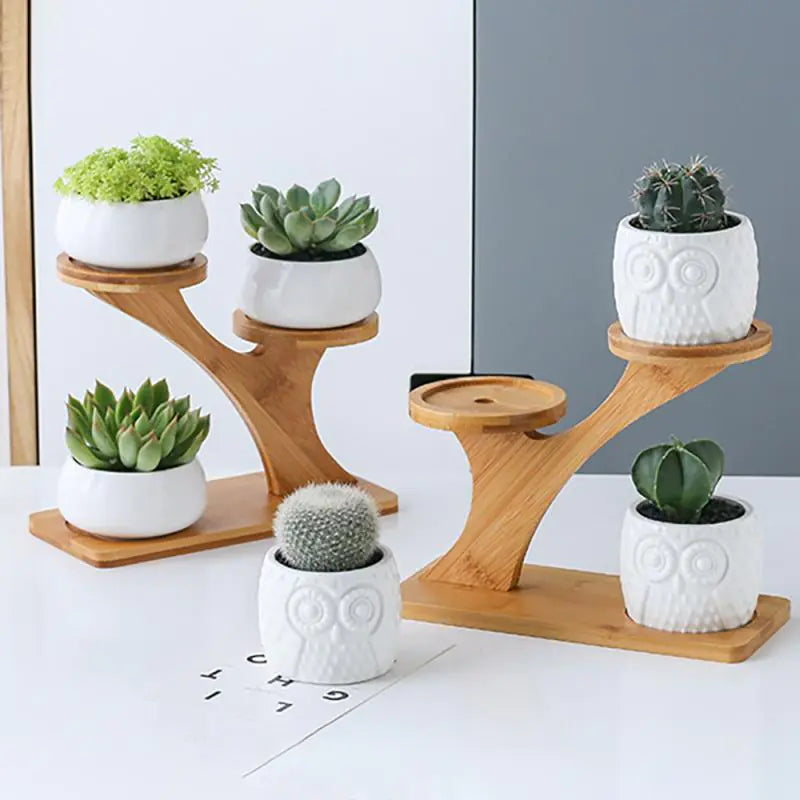 White Ceramic Flower Pots with Bamboo Stand