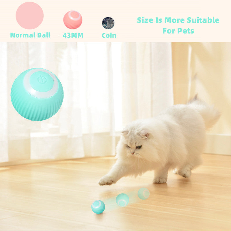 STOMART.CO.UK Smart Cat Ball Toys Cats Free Text