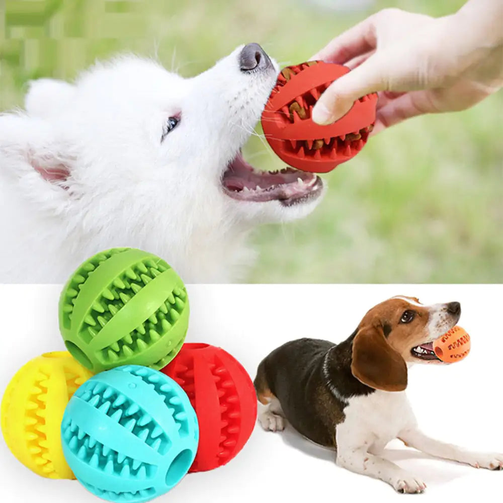 Interactive Cat Dog Rubber Ball