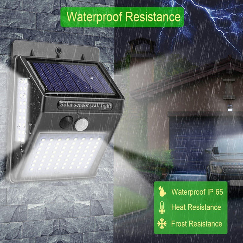 Solar Motion Sensor LED Light