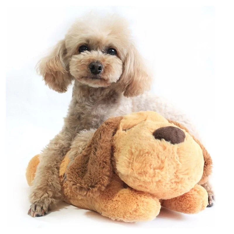 Heartbeat Pet Behavioural Training Toy