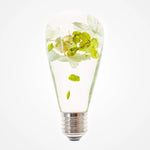 HydraGlow Radiant Night Lamp