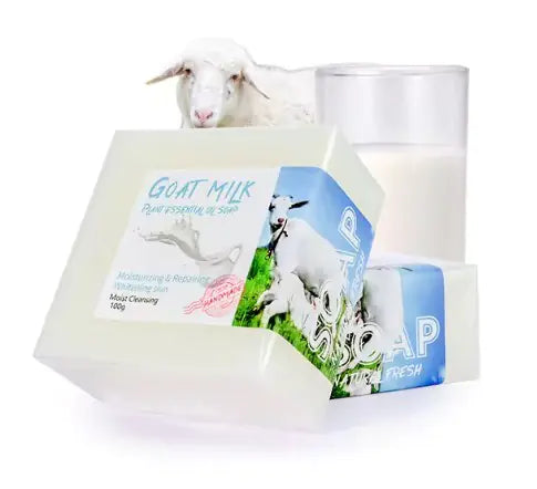 Organic Body Soap