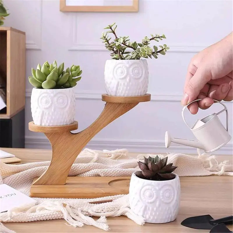 White Ceramic Flower Pots with Bamboo Stand