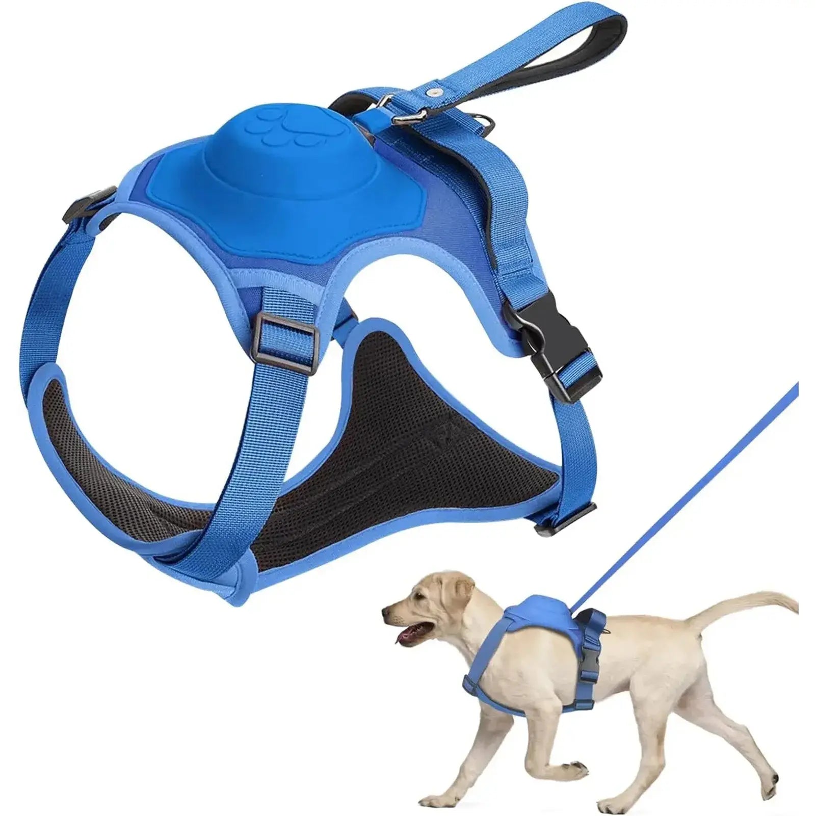 Large Dogs Flexible Retractable Leash