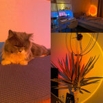 Sunset Projection Multicolour Night Light
