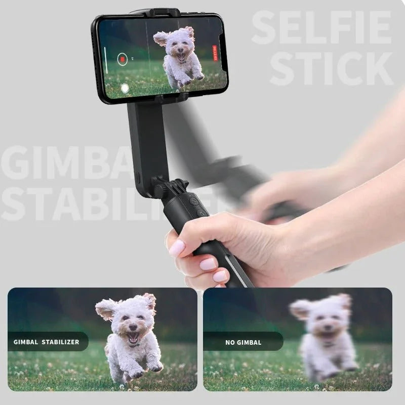 Self-portrait Stick Photographic Stand