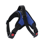 Red and black padded dog harness with adjustable straps, quick-release buckles, and a metal D-ring for leash attachment.