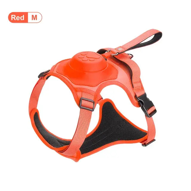 Dogs strap
