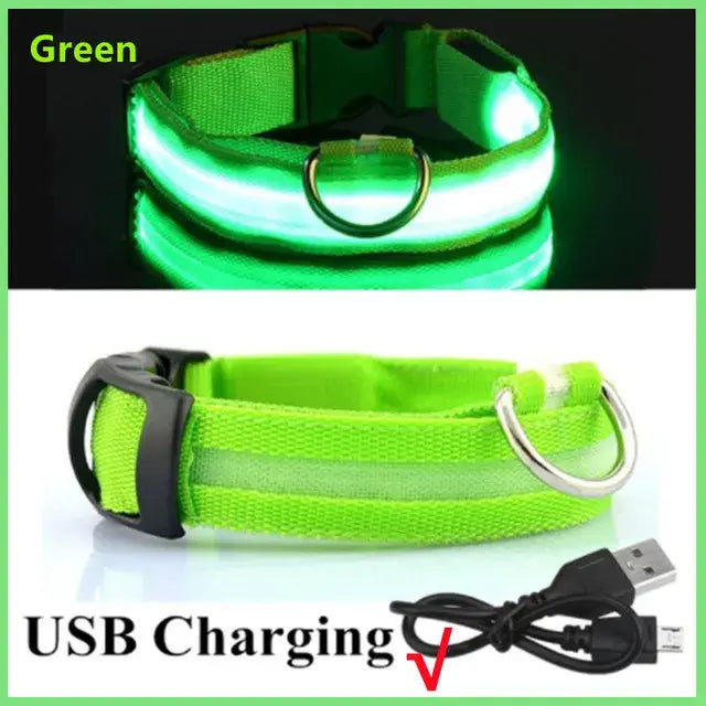 Green USB-rechargeable LED pet collar shown lit and unlit with charging cable.