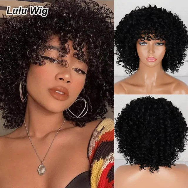 Fashionable Afro Curly Wig