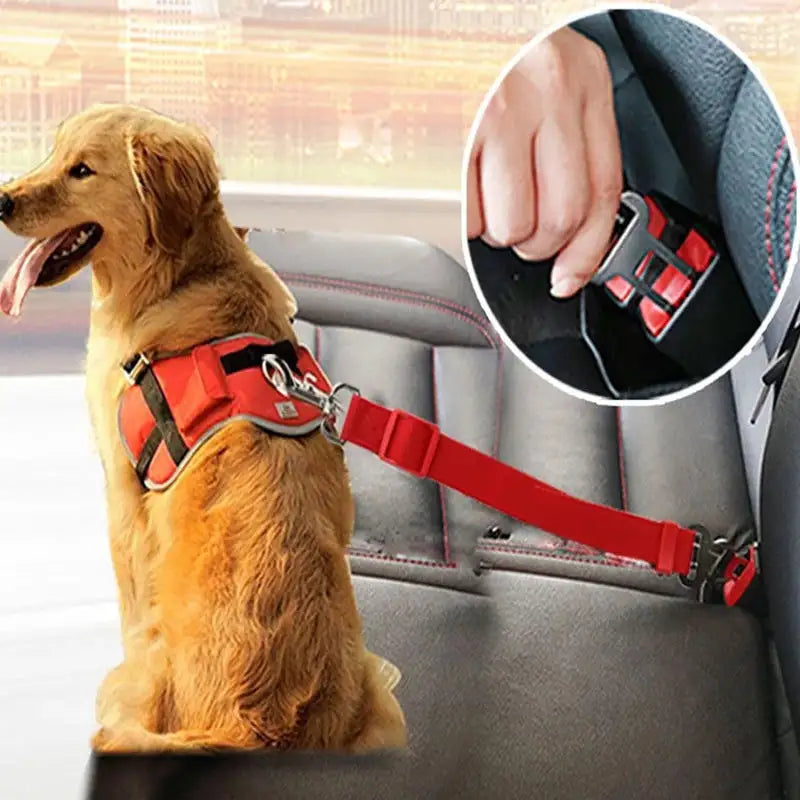 Pet Car Seat Belt Telescopic Traction Rope