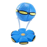 Pet Toy Flying Ball