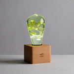 HydraGlow Radiant Night Lamp