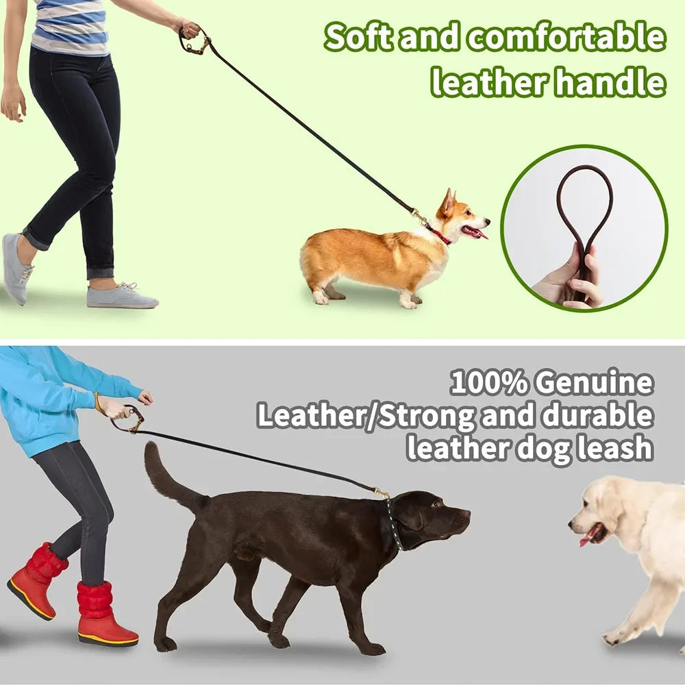 Double Leash Setup