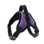 Red and black padded dog harness with adjustable straps, quick-release buckles, and a metal D-ring for leash attachment.