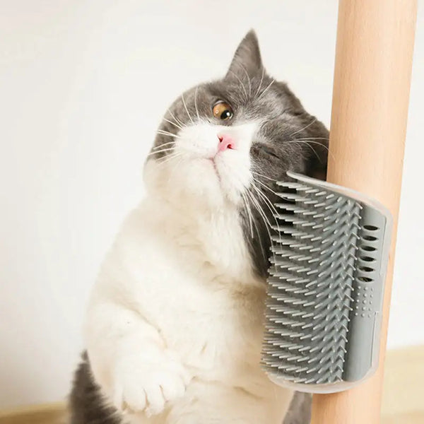 Pets Cat Dog Self Groomer