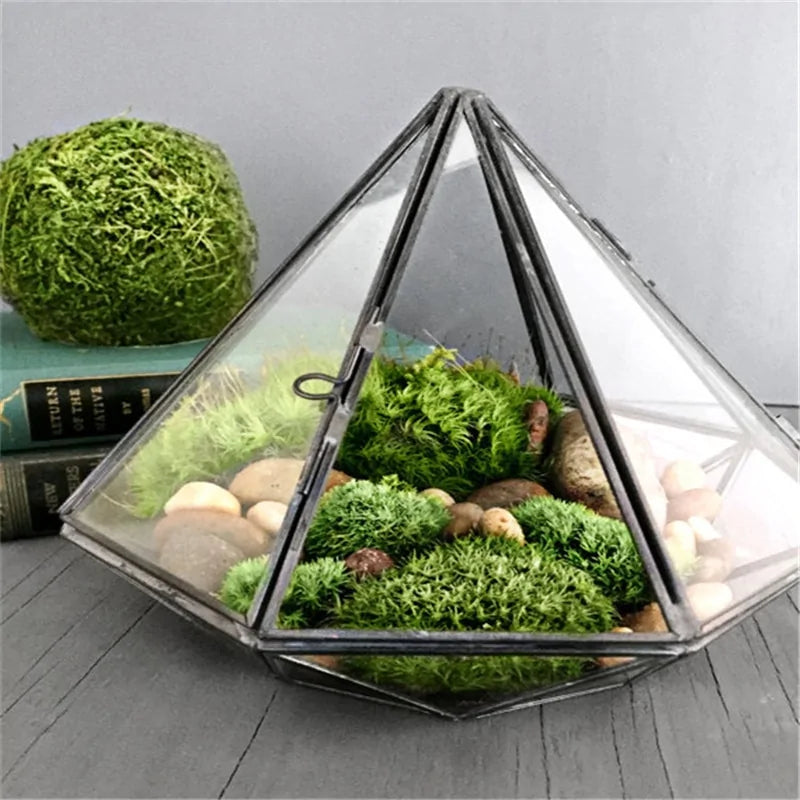 Polygonal Hanging Glass Planter