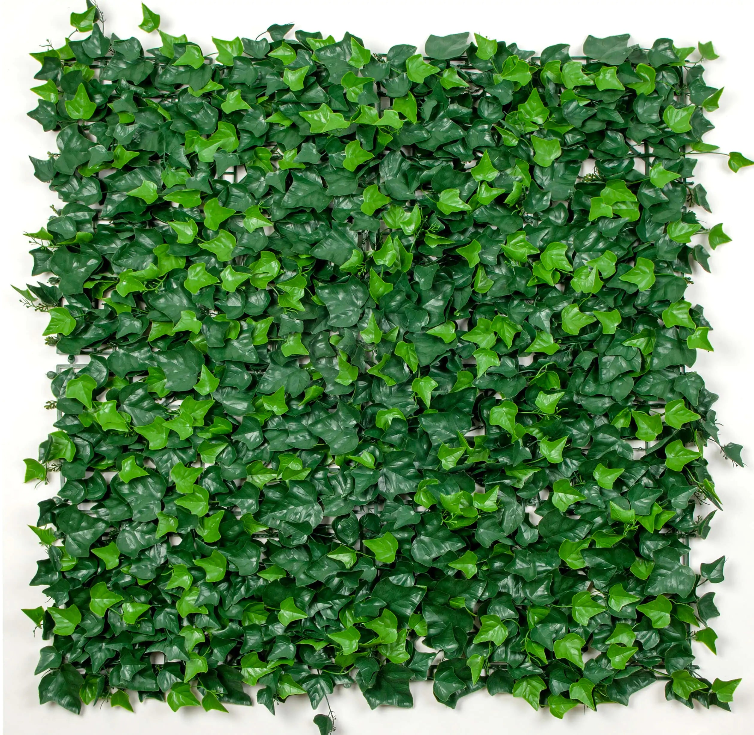 Square artificial ivy hedge panel with dense green leaves on a white background.