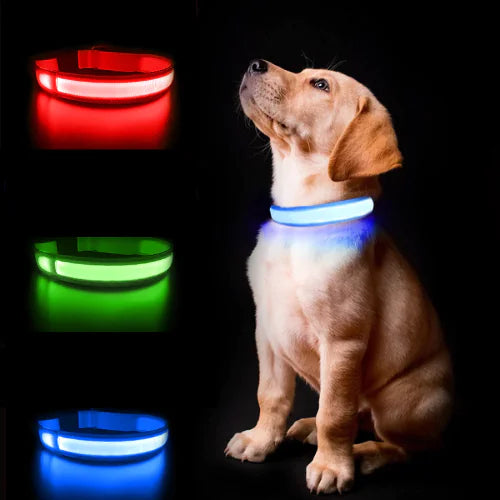 Pet Luminous Air Tag Collar