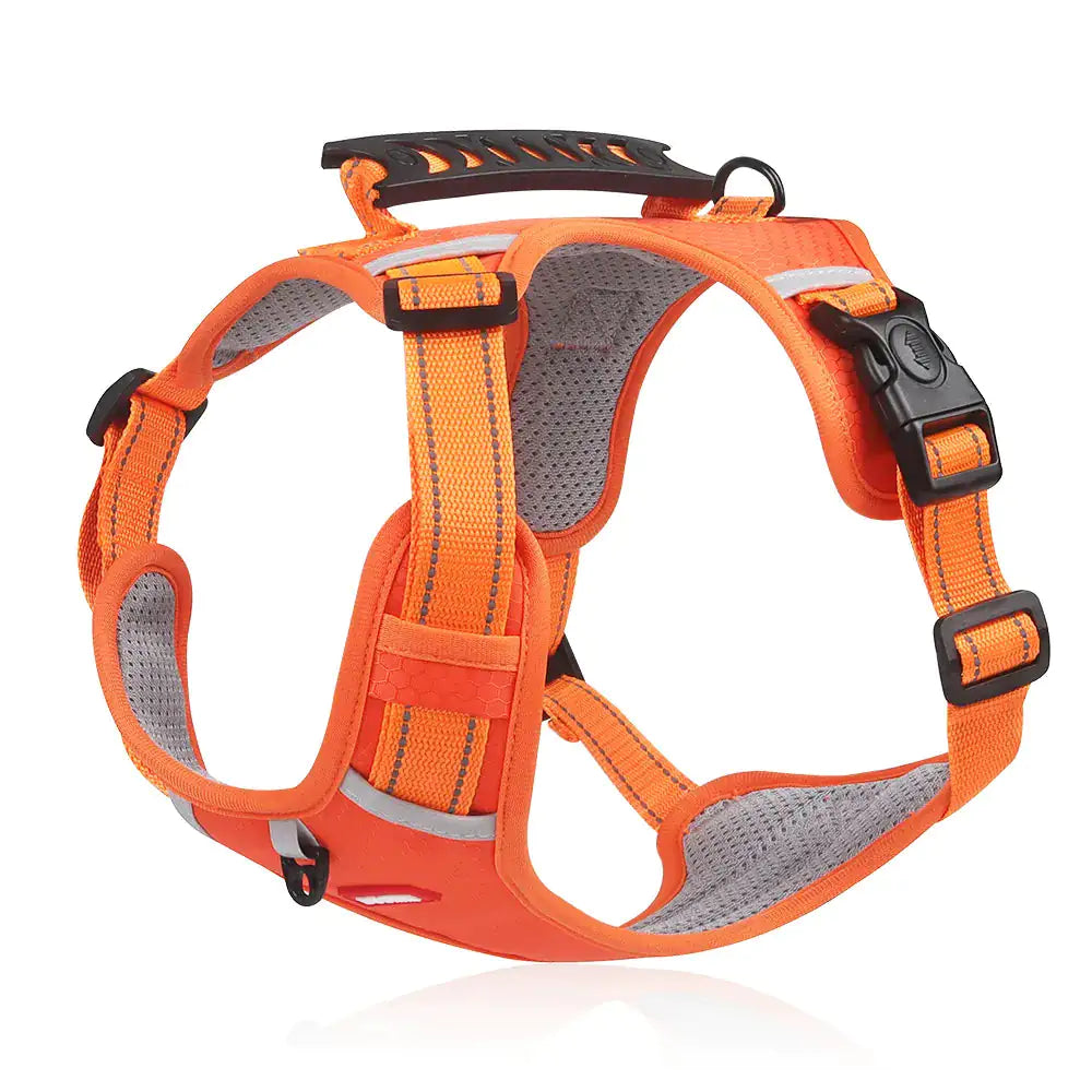 High-Visibility Pet Harness