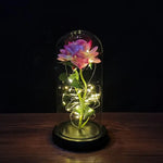 A pink rose inside a clear glass dome, wrapped with warm white fairy lights on a black base, sitting on a dark wooden table against a black background.