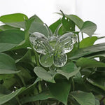 Clear glass butterfly ornament nestled among lush green houseplant leaves, adding a delicate decorative accent to indoor foliage.