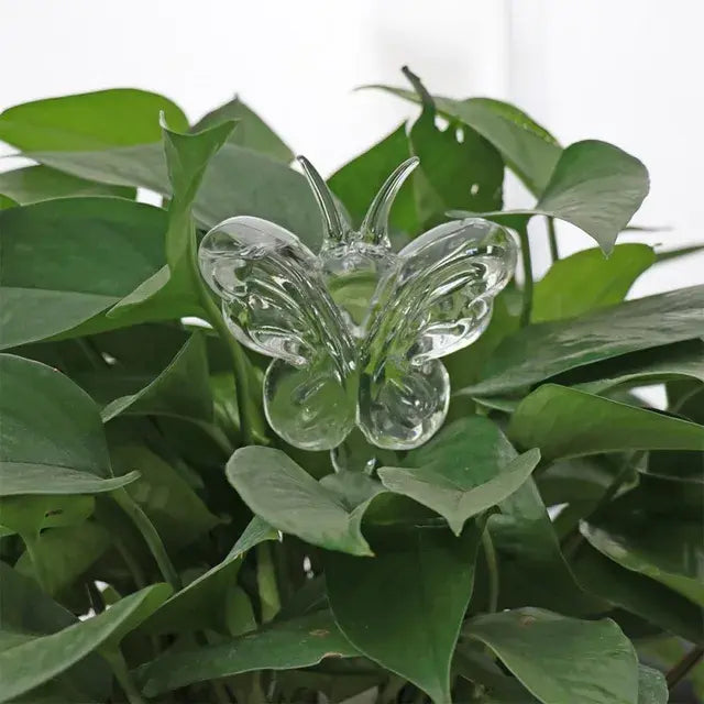 Clear glass butterfly ornament nestled among lush green houseplant leaves, adding a delicate decorative accent to indoor foliage.