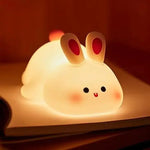 Portable night light
