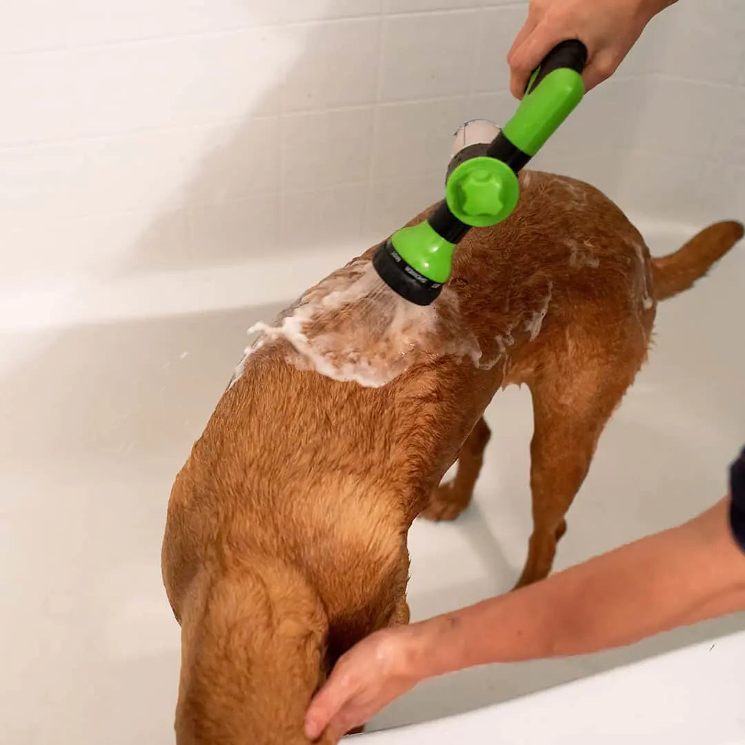 Powerful Dog Bath Hose