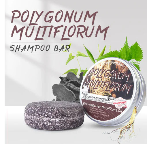 Polygonum hair growth shampoo benefits