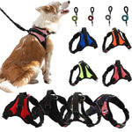 Pet Comfort Adjustable Walking Harness