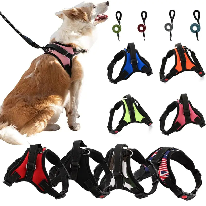 Pet Comfort Adjustable Walking Harness
