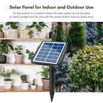Solar Powered Garden Auto-Watering System