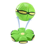 Pet Toy Flying Ball