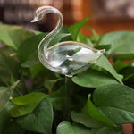Clear glass swan plant watering globe nestled among green houseplant leaves, designed to provide slow, steady watering while adding a decorative touch.